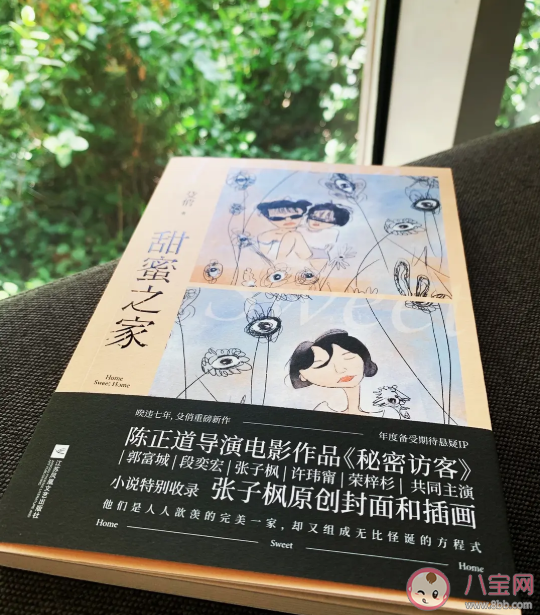《秘密訪客》是根據什么小說改編的 《秘密訪客》結局真相是什么