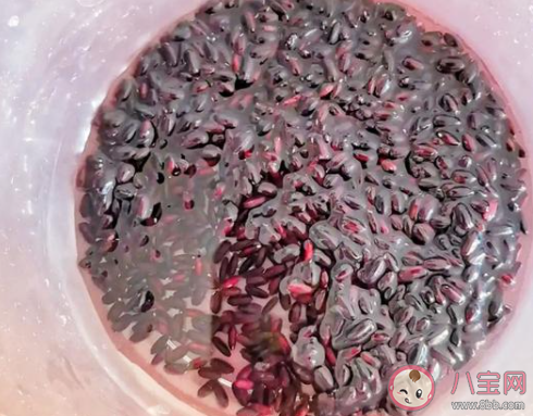 想鑒別買到的黑米是不是人工色素染色哪種方法更靠譜 螞蟻莊園小課堂4月30日答案