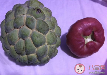 釋迦蓮霧是夫妻果嗎 釋迦和蓮霧有什么寓意 釋迦蓮霧是夫妻果嗎 釋迦和蓮霧有什么寓意