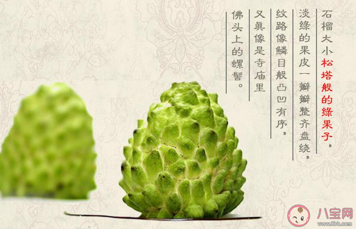 釋迦果可以和蓮霧一起吃嗎 釋迦果和蓮霧果哪個更好吃