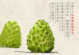 釋迦果可以和蓮霧一起吃嗎 釋迦果和蓮霧果哪個更好吃