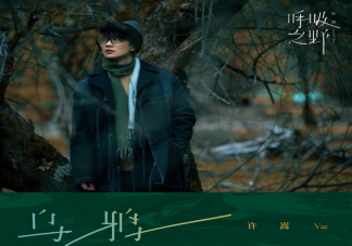 許嵩新歌《烏鴉》歌詞是什么 如何評(píng)價(jià)許嵩的新歌《烏鴉》