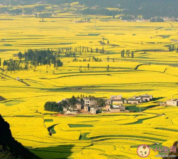 每個月適合旅游的地方有哪些 1~12月適合旅游地方介紹