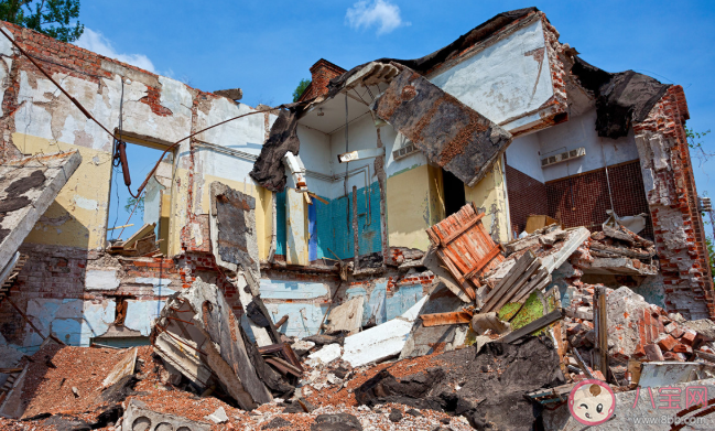 地震時出現站立不穩的暈船現象最好該怎么做 螞蟻莊園5月12日答案最新