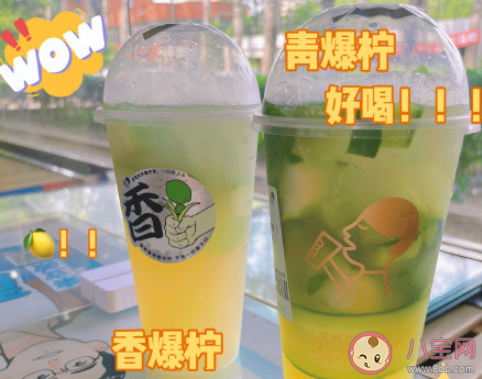 喜茶爆檸茶好喝嗎 爆檸茶哪款最好喝 喜茶爆檸茶好喝嗎 爆檸茶哪款最好喝