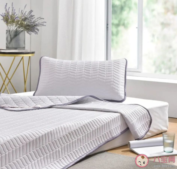 怎么判斷乳膠涼席是不是真乳膠 怎么買到真正的可水洗天然乳膠涼席