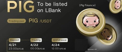 pig幣在哪里買  pig幣在什么平臺上有