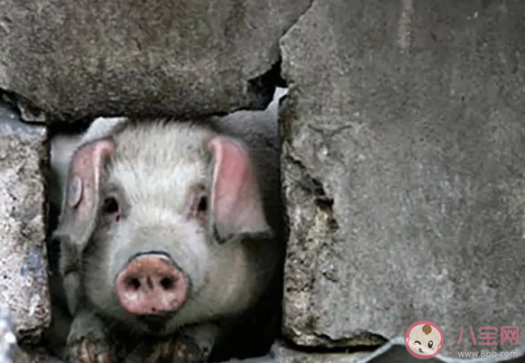 汶川地震中陳堅的故事是怎樣的 汶川地震難以忘記的人和事