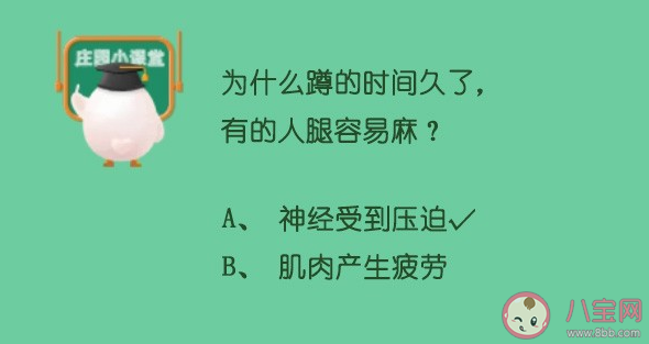 為什么蹲的時間久了腿容易麻 螞蟻莊園5月14日答案最新 為什么蹲的時間久了腿容易麻 螞蟻莊園5月14日答案最新
