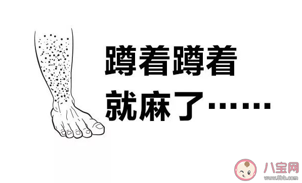 為什么蹲的時間久了腿容易麻 螞蟻莊園5月14日答案最新 為什么蹲的時間久了腿容易麻 螞蟻莊園5月14日答案最新