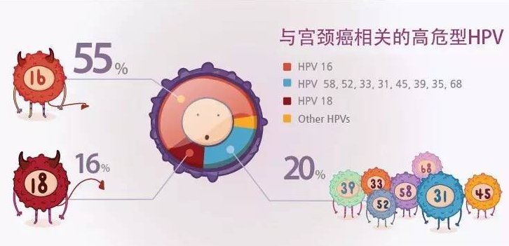 HPV日常接觸中會傳染嗎 HPV的傳播途徑是什么
