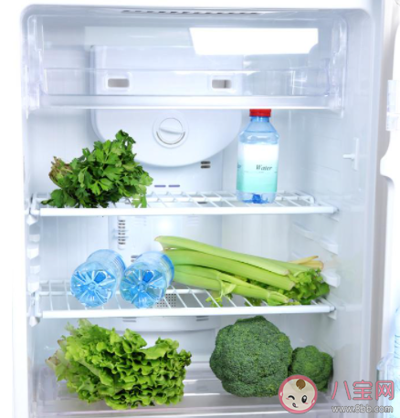 晚上會聽到冰箱嗡嗡作響是冰箱壞了嗎 最新螞蟻莊園5月16日答案 晚上會聽到冰箱嗡嗡作響是冰箱壞了嗎 最新螞蟻莊園5月16日答案