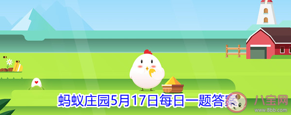 陰雨天還需要涂防曬霜嗎 螞蟻莊園5月17日正確答案 陰雨天還需要涂防曬霜嗎 螞蟻莊園5月17日正確答案
