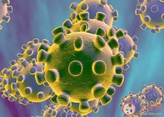 新研究發(fā)現(xiàn)冠狀病毒的致命弱點(diǎn)是什么 這一發(fā)現(xiàn)有什么作用