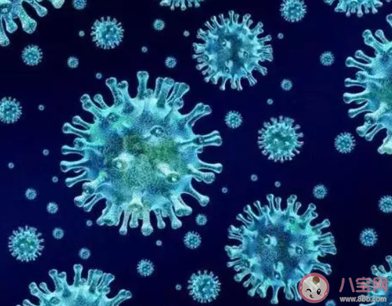 新研究發(fā)現(xiàn)冠狀病毒的致命弱點(diǎn)是什么 這一發(fā)現(xiàn)有什么作用