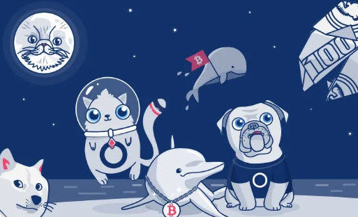 hoge幣怎么買 HOGE哈巴狗幣上幣安了嗎