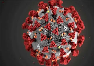 新研究發現冠狀病毒的致命弱點是什么 這一發現有什么作用