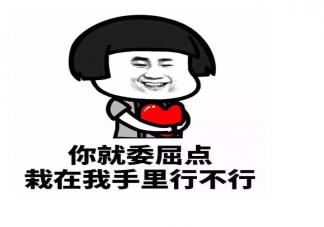 520單身搞笑朋友圈文案句子 520搞笑幽默的說說配圖