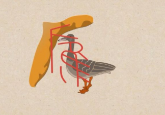 古代哪種鳥類曾被作為婚娶時的聘禮 婚俗中的大雁有什么含義