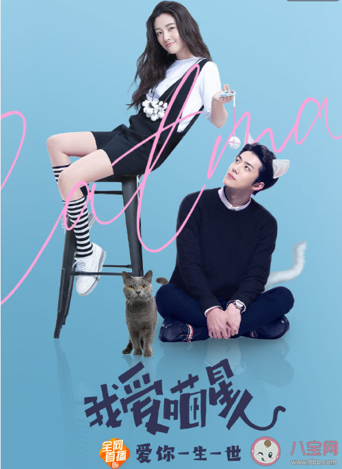 《我愛喵星人》為什么看不了下架了 《我愛喵星人》什么時候再上線