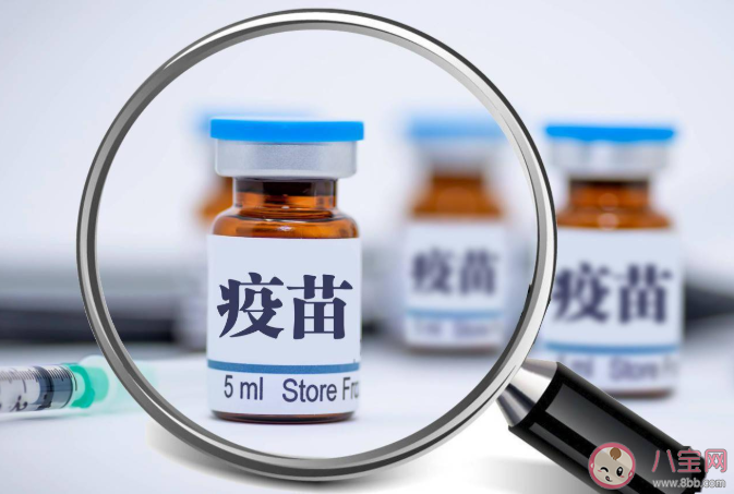 單針腺病毒載體疫苗有什么不良反應 哪些人不建議接種 單針腺病毒載體疫苗有什么不良反應 哪些人不建議接種