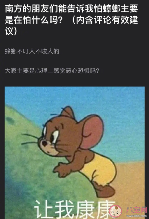 怕蟑螂主要怕的是什么 蟑螂為什么那么難殺死 怕蟑螂主要怕的是什么 蟑螂為什么那么難殺死