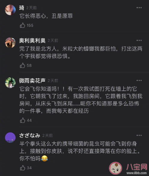 怕蟑螂主要怕的是什么 蟑螂為什么那么難殺死 怕蟑螂主要怕的是什么 蟑螂為什么那么難殺死