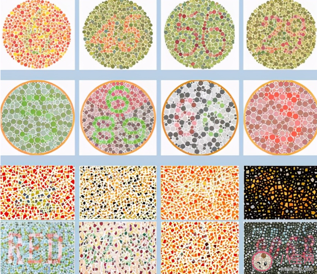 男子疑因色弱不能考駕照被分手 色弱能不能考駕照 男子疑因色弱不能考駕照被分手 色弱能不能考駕照