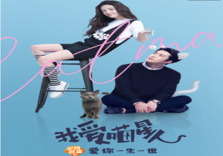 《我愛喵星人》為什么看不了下架了 《我愛喵星人》什么時候再上線