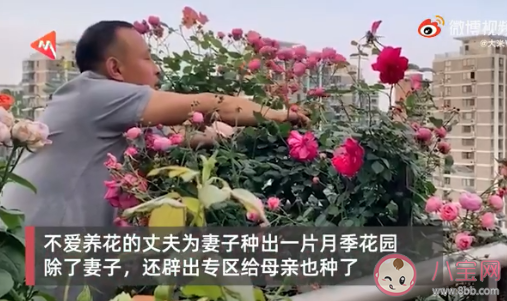 丈夫給妻子種出一個(gè)月季花園 月季花是幾月份開(kāi)放的 丈夫給妻子種出一個(gè)月季花園 月季花是幾月份開(kāi)放的