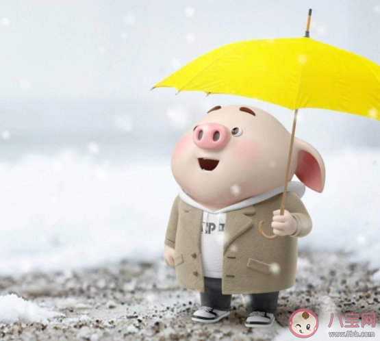 數不完的陰晴換圓缺是什么歌 《半生雪》完整版歌詞在線聽歌