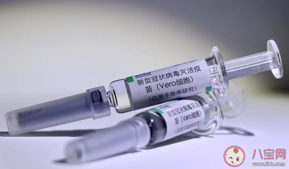 單針和兩針接種新冠疫苗有何區(qū)別 單針和兩針的效果和不良反應(yīng)對比