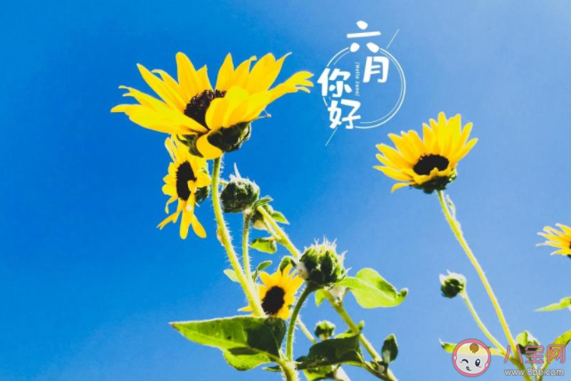2021適合六月發(fā)朋友圈的文案句子 2021六月美好文案祝福語大全