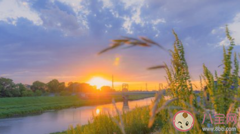 六月有哪些小期許 你對六月有哪些期待呢 六月有哪些小期許 你對六月有哪些期待呢