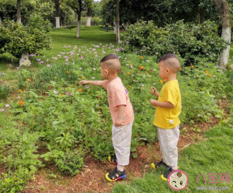 生孩子究竟是為了什么 為什么要生兒育女