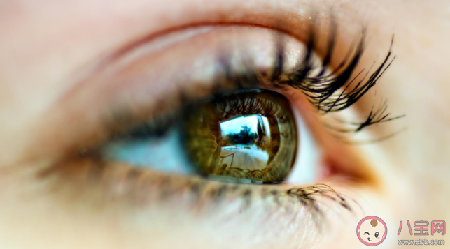 人每天要眨眼多少次 我們為什么需要眨眼睛