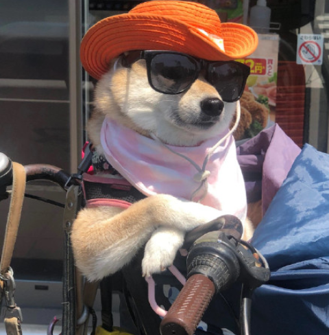 素顏不化妝被領導說邋遢是怎么回事 上班一定要化妝嗎