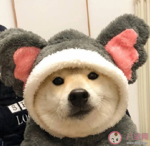 會因為家境而害怕談戀愛嗎 談戀愛要考慮家境嗎 會因為家境而害怕談戀愛嗎 談戀愛要考慮家境嗎