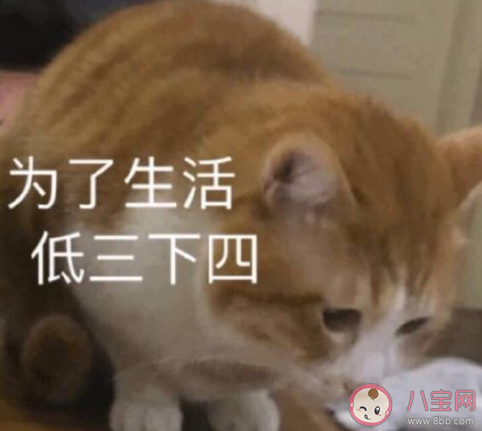 待業在家父母會嫌棄你嗎 長期待業在家是怎樣一番滋味