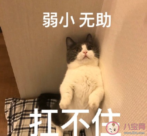 待業在家父母會嫌棄你嗎 長期待業在家是怎樣一番滋味