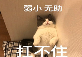 待業(yè)在家父母會嫌棄你嗎 長期待業(yè)在家是怎樣一番滋味