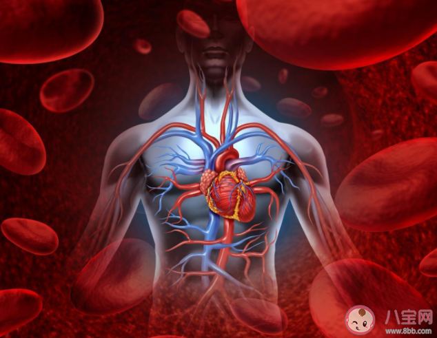 幾百元心臟支架質量會大打折扣嗎 關于心臟支架使用9大疑惑解答