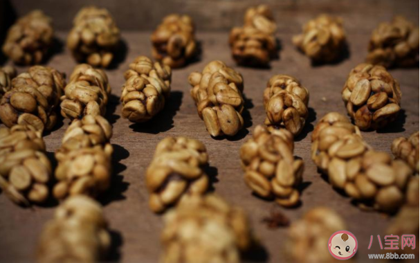 貓屎咖啡的制作流程是怎樣的 貓屎咖啡味道怎么樣