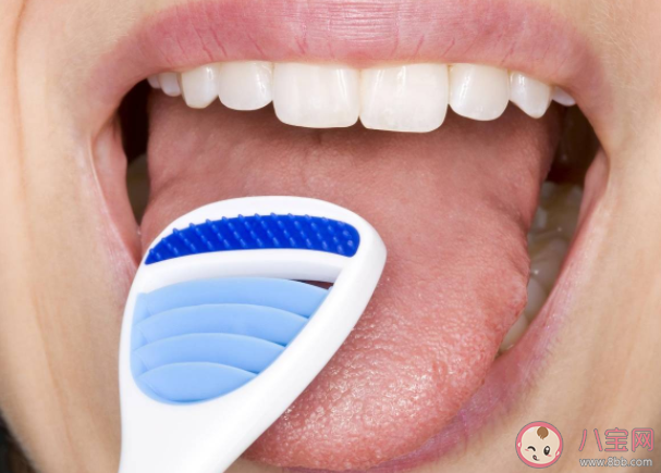 螞蟻莊園6月11日問題答案 舌頭也需要經(jīng)常清潔嗎