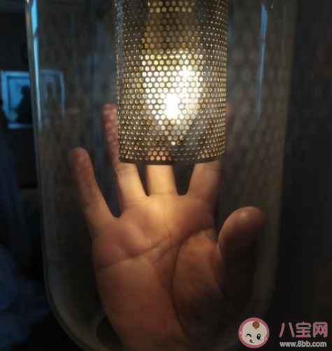 你知道最冷的冷知識是什么 生活中的冷知識分享 你知道最冷的冷知識是什么 生活中的冷知識分享