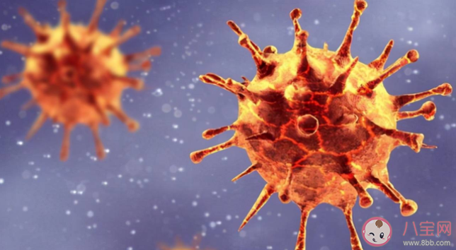 全世界的新冠病毒加起來有多重 病毒重量怎么計算出來的