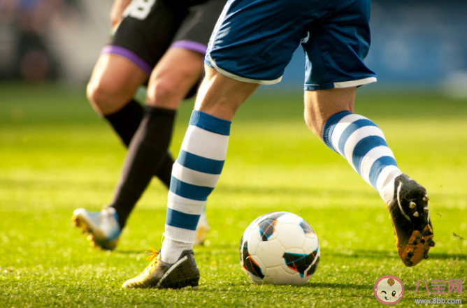 第16屆歐洲杯有哪些精彩看點 有哪些值得關注的熱門賽事