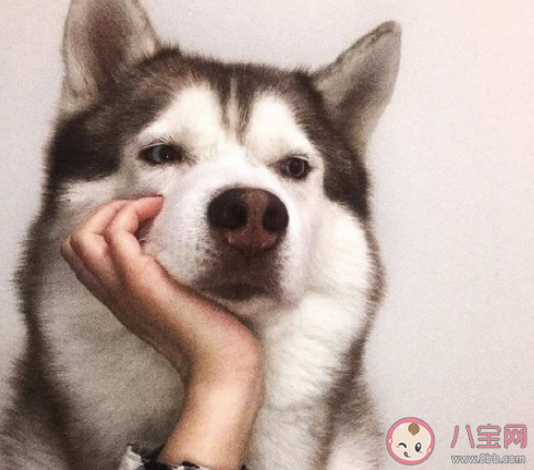 高中喜歡的人很難忘嗎 說說你們印象中的高中情感 高中喜歡的人很難忘嗎 說說你們印象中的高中情感