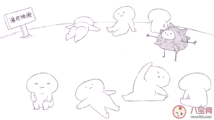 當新冠疫苗進入體內(nèi)之后會發(fā)生什么 接種新冠疫苗后一定能產(chǎn)生抗體嗎 當新冠疫苗進入體內(nèi)之后會發(fā)生什么 接種新冠疫苗后一定能產(chǎn)生抗體嗎