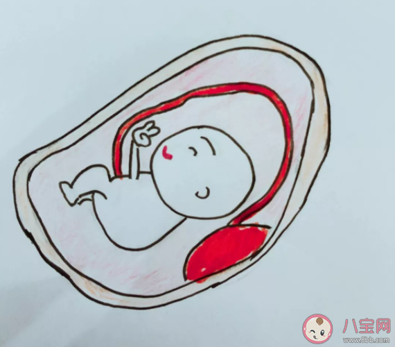 孕期貧血對孕婦和寶寶有什么危害 預(yù)防貧血孕婦應(yīng)該怎么吃